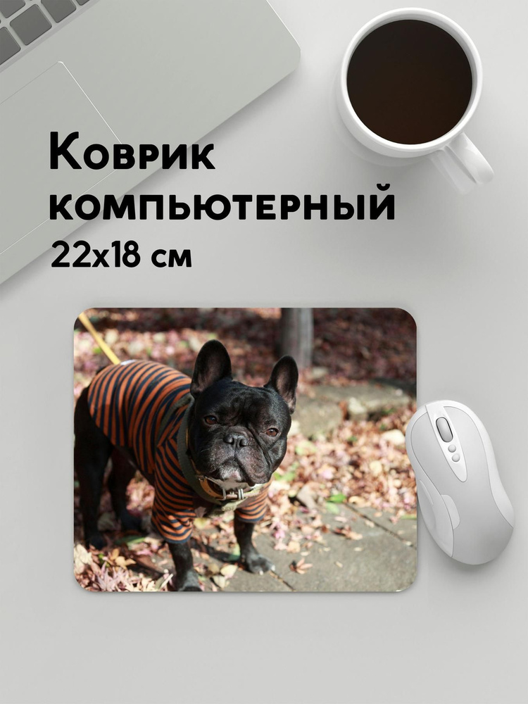 PANiN Коврик для мыши MousePad22x18WC_WC36112, черно-серый, темно-серый  #1