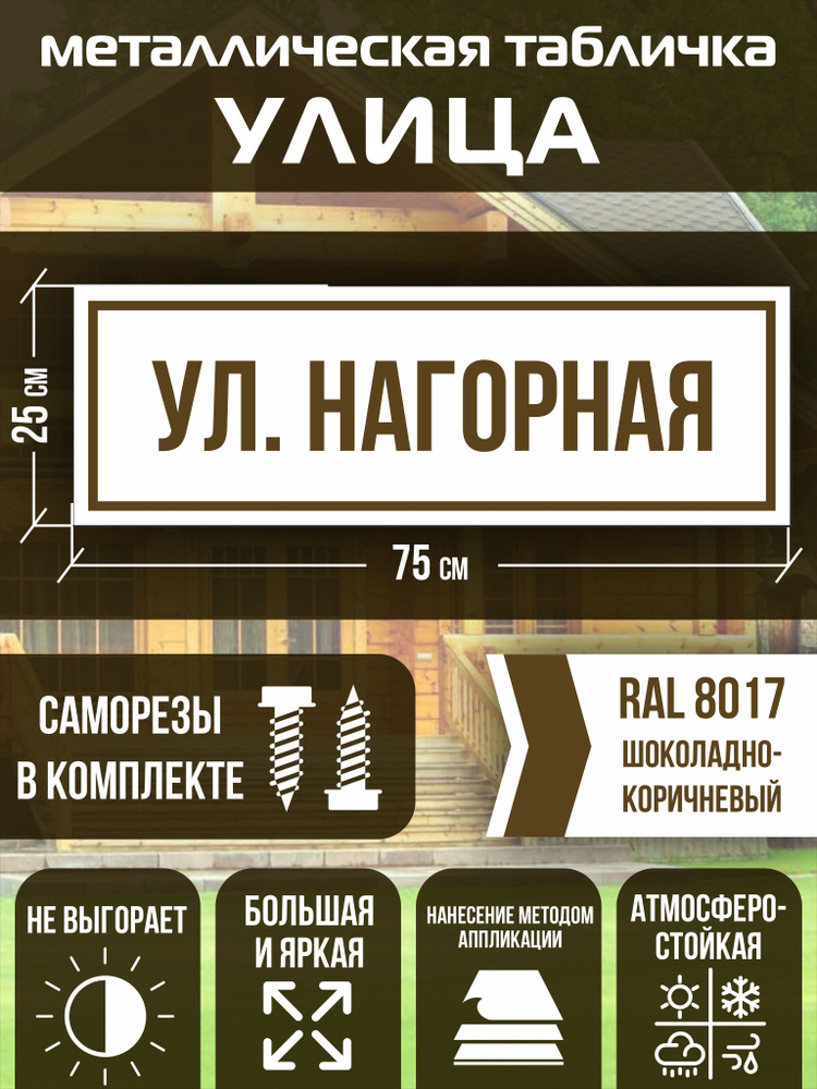 Адресная табличка на дом улица Нагорная RAL 8017 коричневая  #1