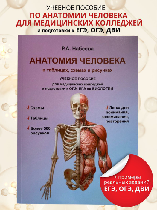 Резанова Биология Человека В Таблицах Купить