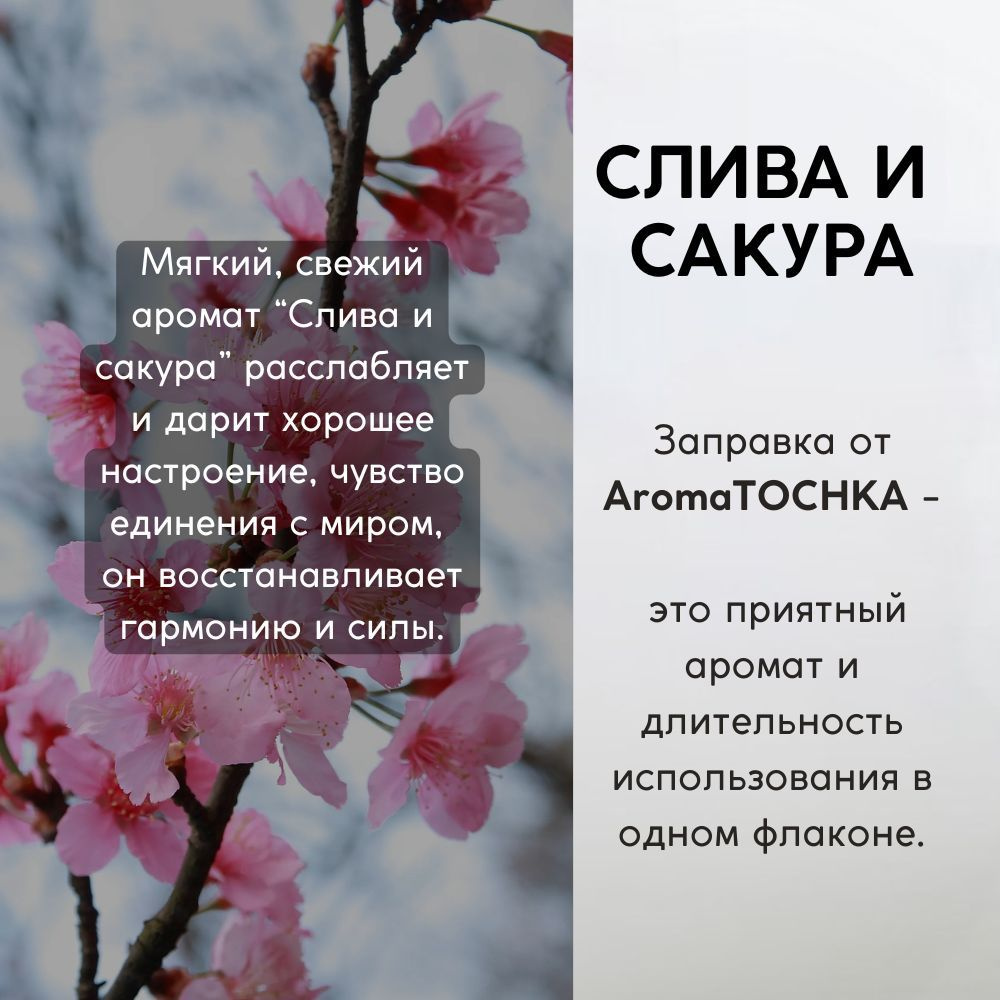 Слива и Сакура