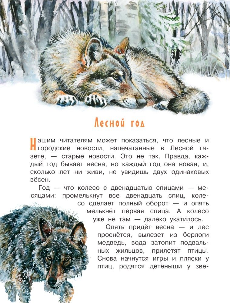 Лесная газета | Forest Newspaper - Ozon image 5