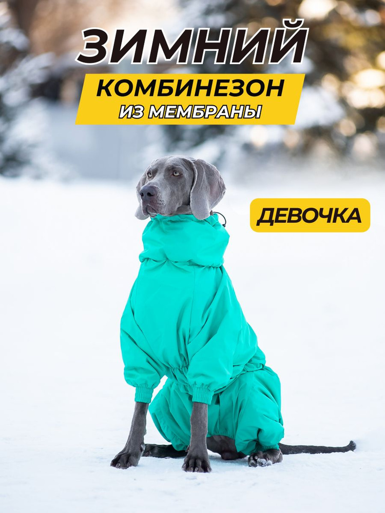 Комбинезон зимний для собак крупных пород SNOW, 70ж (сука), зеленый, 7XL  #1