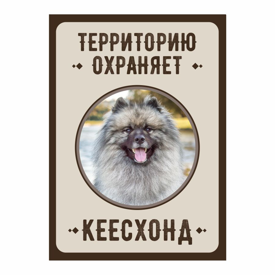Табличка, Злая собака, Территорию охраняет Кеесхонд, 18см х 25 см, на забор, на дверь  #1