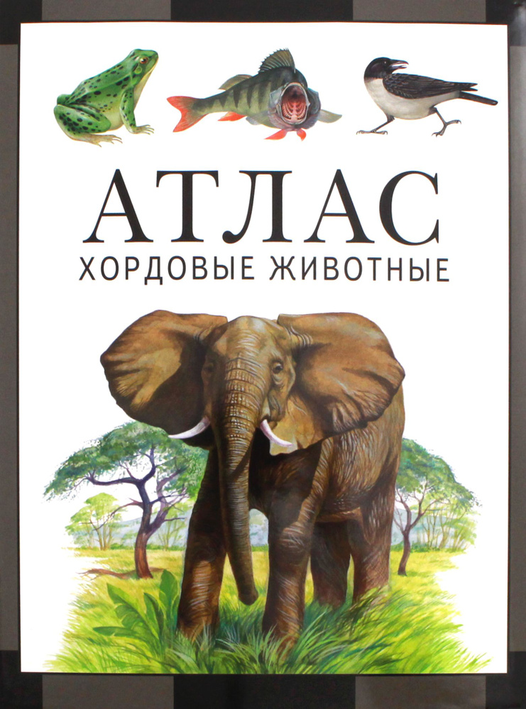 Хордовые животные. Атлас | Козлов Михаил Алексеевич, Дольник Виктор Рафаэльевич  #1