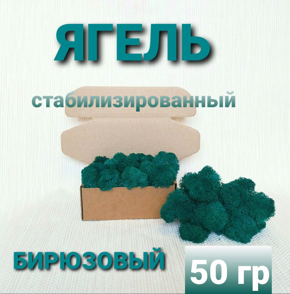 Стабилизированный мох, 50 гр #1