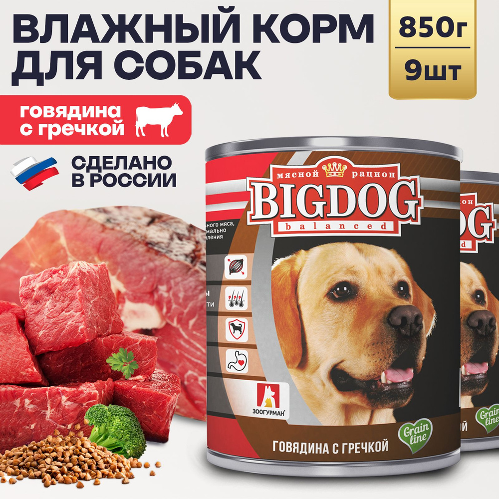 Влажный корм для собак крупных и средних пород Зоогурман ПРЕМИУМ Big Dog Говядина с гречкой, 850 г х #1