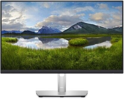 Dell 24" Монитор P2423DE, серебристый, черный #1