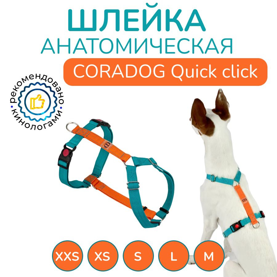 Шлейка прогулочная анатомическая для мелких пород собак и кошек, CORADOG Quick click, размер XXS, цвет #1