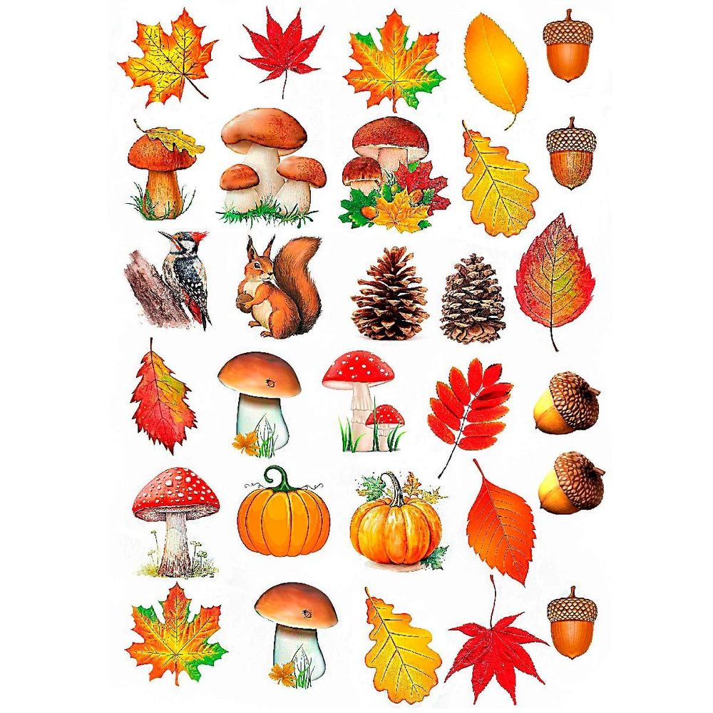 Набор съедобных картинок Осенний лес 30 шт #1