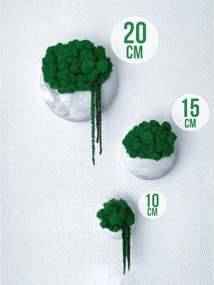 Набор настенных декоративных кашпо 10,15,20 см 3 шт мраморного цвета со стабилизированным мхом и амарантом #1