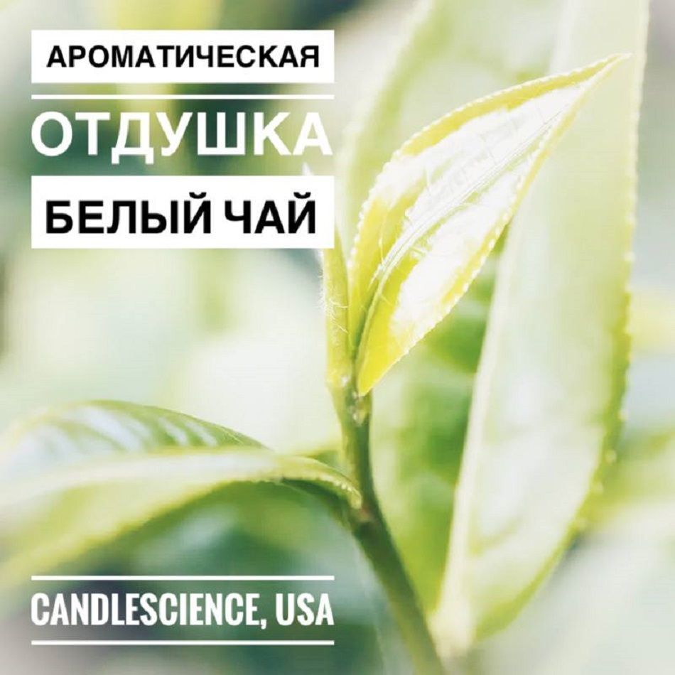 100гр.Белый Чай СandleScience, Отдушка #1