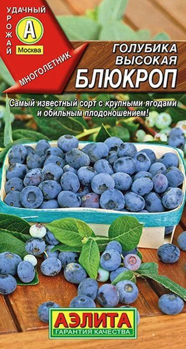 Семена Голубика высокая Блюкроп (0,01 г) - Агрофирма Аэлита  #1