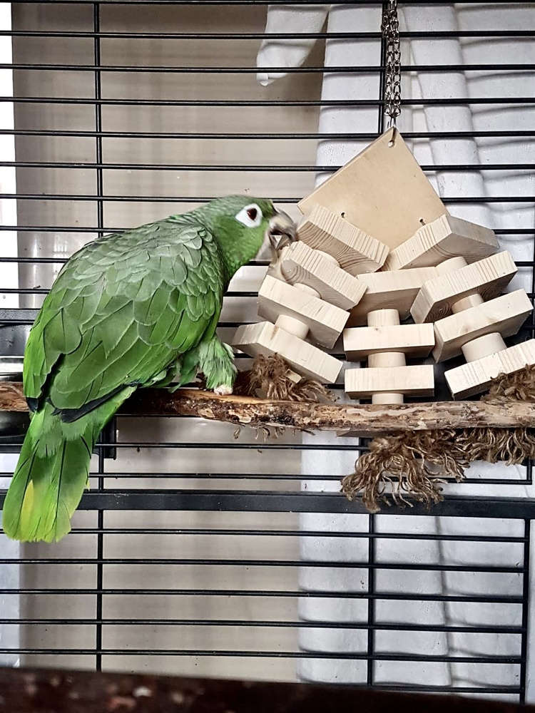 Деревянная игрушка для крупных попугаев #1