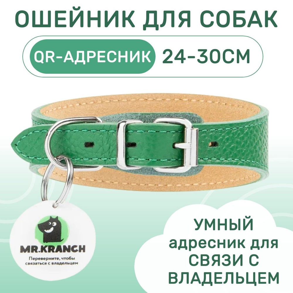 Ошейник-селедка Mr.Kranch для собак из натуральной кожи с QR-адресником, 24-30 см, зелёный  #1