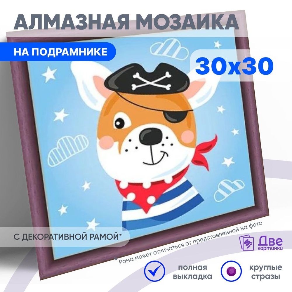 DVEKARTINKI Алмазная мозаика на подрамнике 30x30 см Полная выкладка круглые стразы 30х30Щеночек в пиратском #1