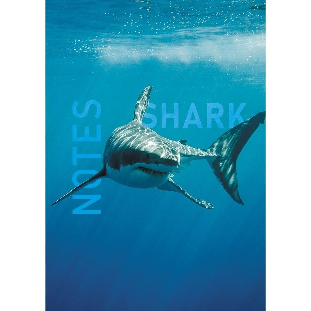 Записная книжка ЭКСМО 80 листов А5 клетка, Shark, глянцевая ламинация 60 г/м2 (ЕТИ580539)  #1