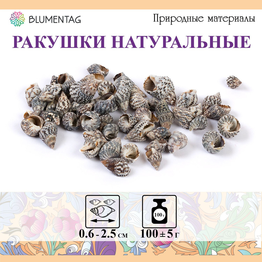 Ракушки морские натуральные для декора "Blumentag" DRF-010, 100г, 2.5см Nassa Pussata Asstd  #1