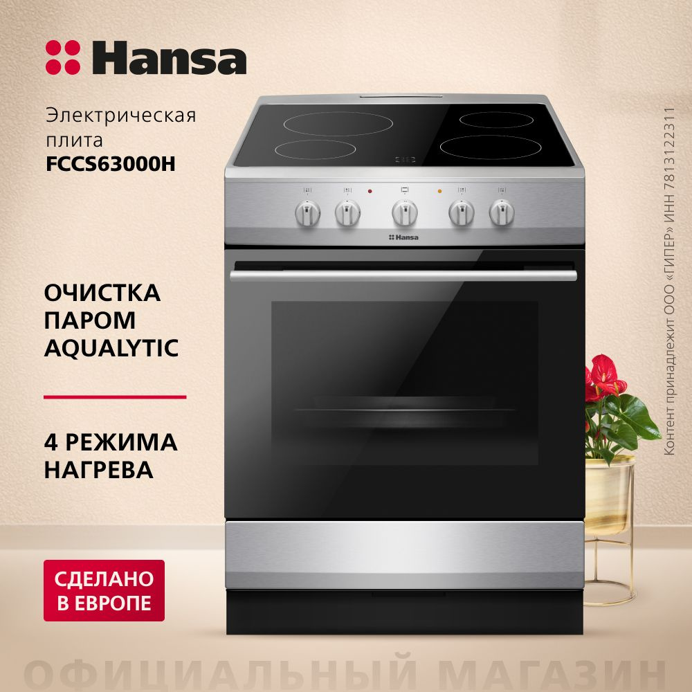 Электрическая плита Hansa FCCS63000H, серебристый, 8200 Вт, 68 л, гриль, рецепты на дверце  #1