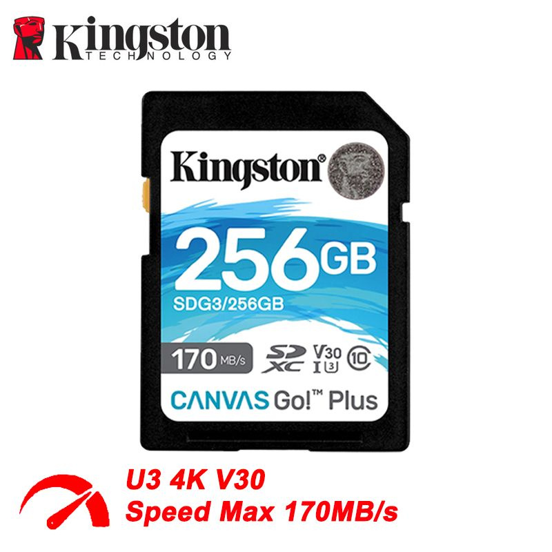 Kingston Карта памяти Canvas GO Plus 256 ГБ (Canvas Go Plus SDG3/256GB) #1