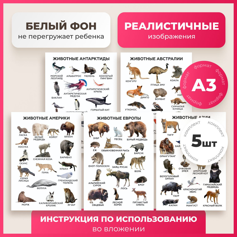 Набор №3 обучающих постеров-плакатов для детей от 1 года для дома и детского сада  #1