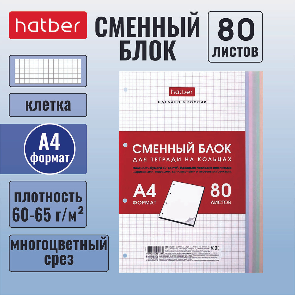 Сменный блок Hatber 80л А4 для тетрадей на кольцах универсальная перфорация Многоцветный срез  #1