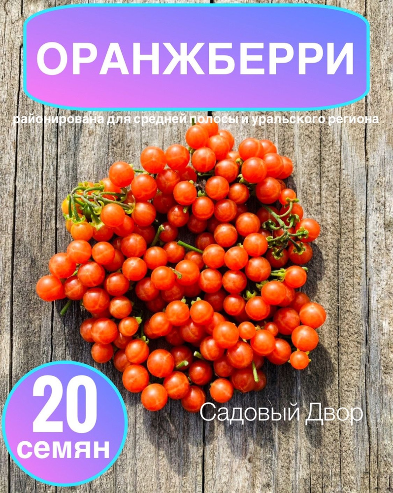 ОранжБерри (Оранжевая Черника), семена 20 шт, + рекомендация по агротехнике  #1