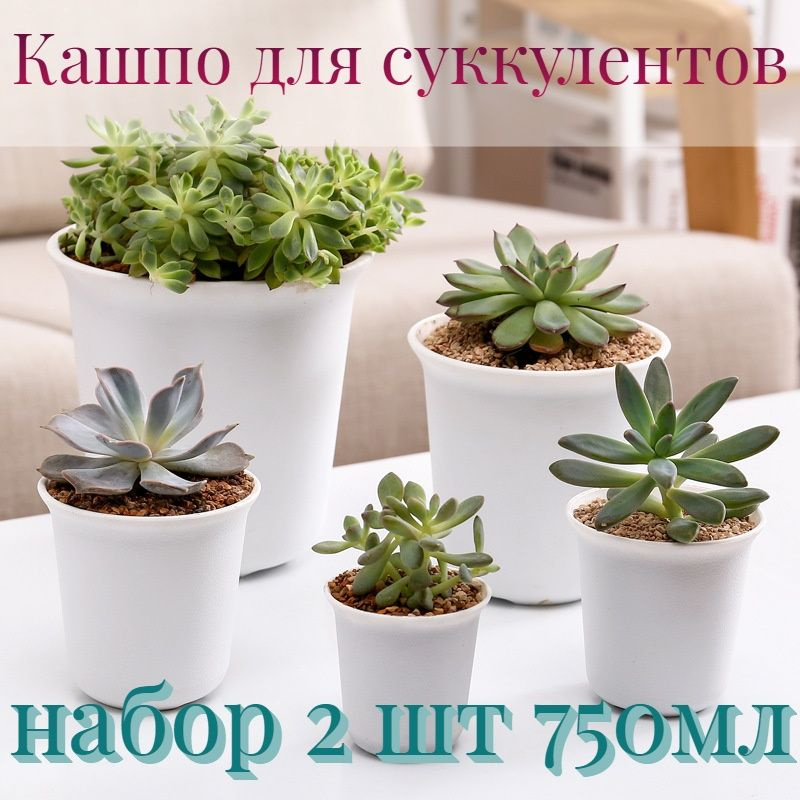 Горшок для суккулентов 0,75л #1