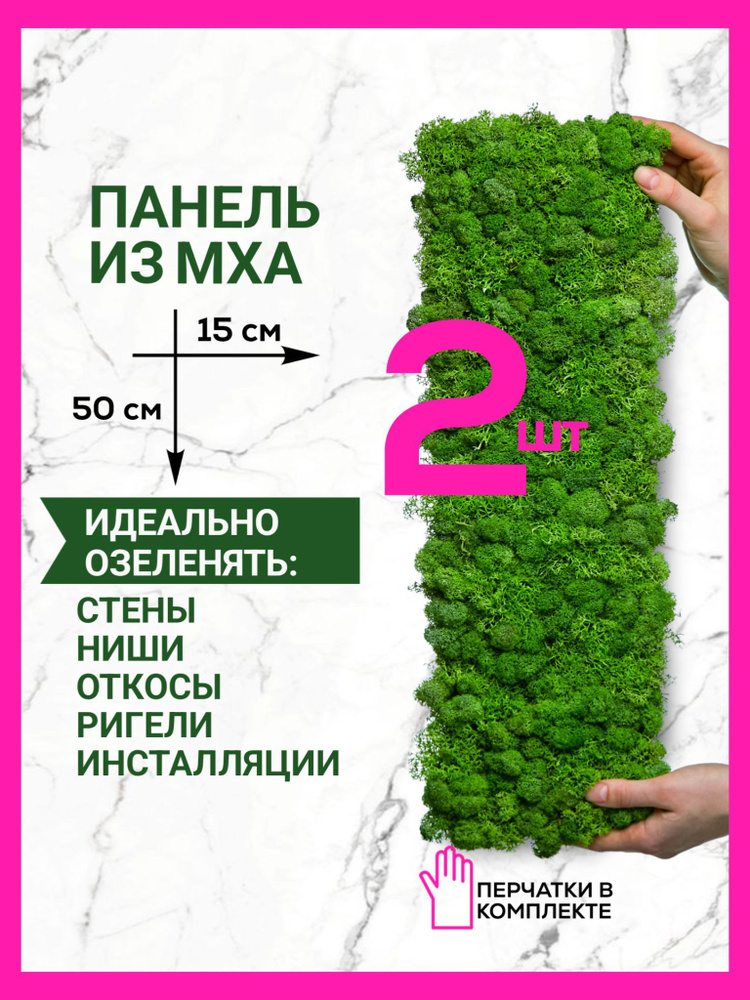 Панель на стену из мха стабилизированного 15х50 см комплект из 2 шт.  #1