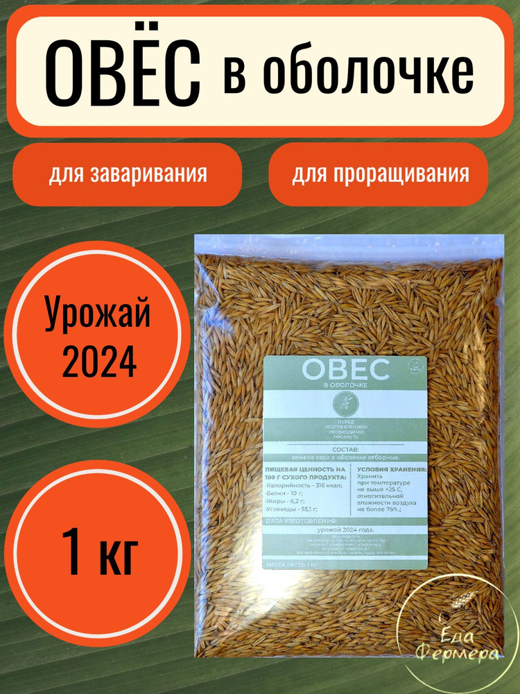 ОВЁС в оболочке / для проращивания и заваривания / 1 кг #1