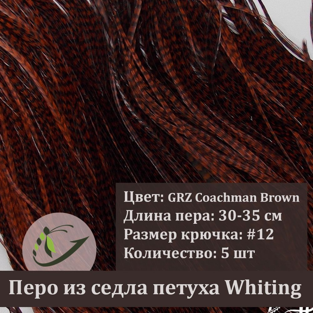 Перо петуха Whiting для вязания мушек, 5 шт, крючок #12, 30-35 см, цвет Grizzly Coachman Brown  #1