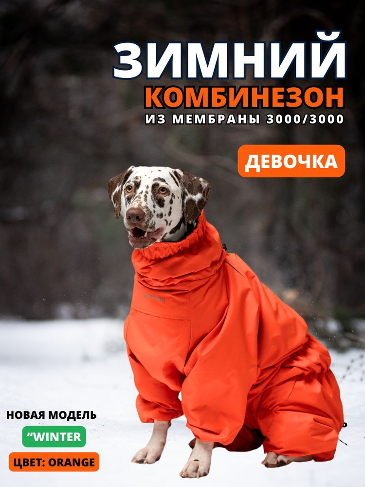 Зимний комбинезон для собак "Winter", 60/5XL, женский, orange #1