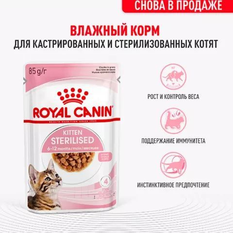 12 шт Royal Canin Kitten Sterilised Влажный корм (пауч) для кастрированных и стерилизованных котят, в #1