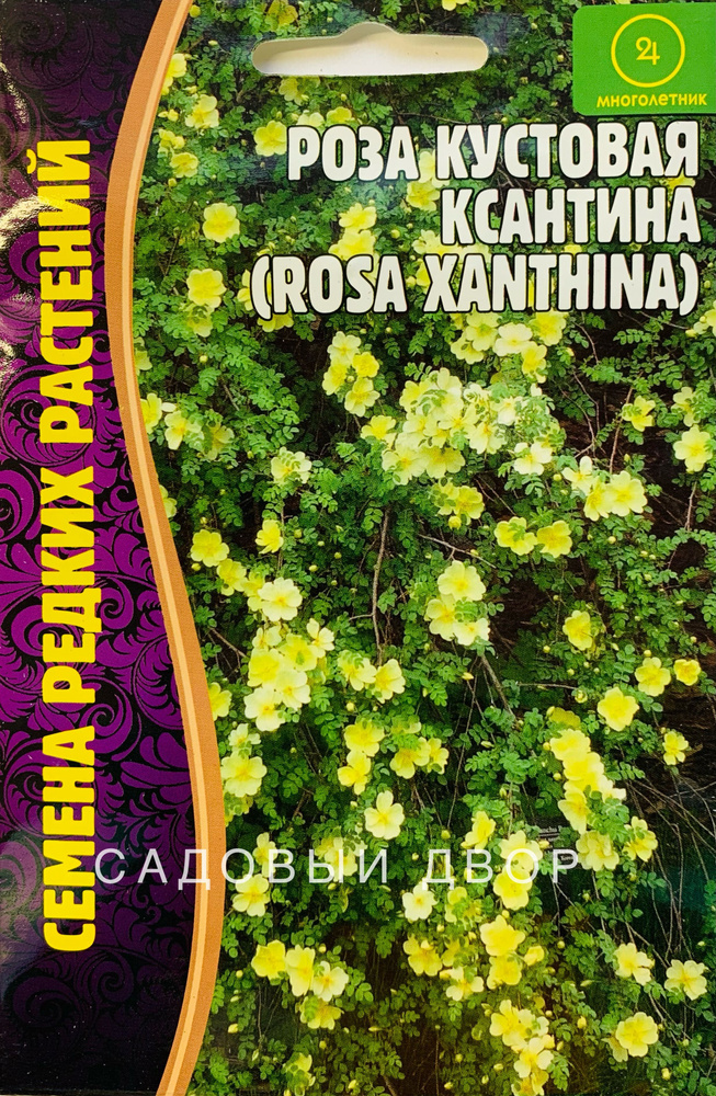 Роза кустовая Ксантина, семена 10 шт, 1 пакет, ЧК #1