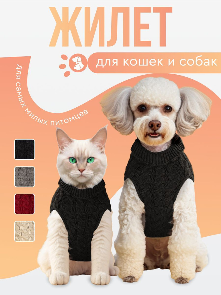 Свитер для собак мелких пород и кошек MiloPets, S #1