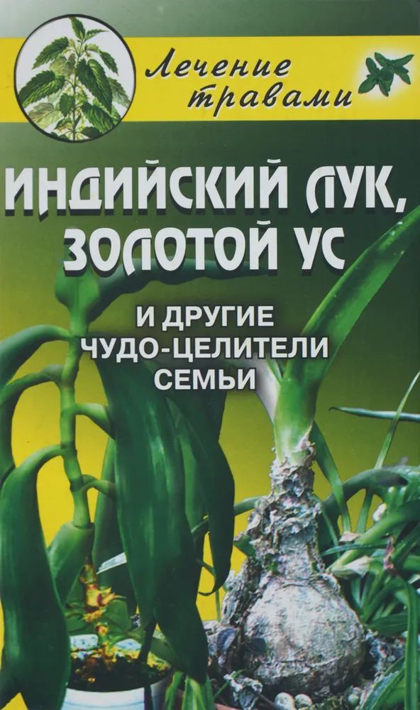 Индийский лук, золотой ус и другие чудо-целители семьи #1