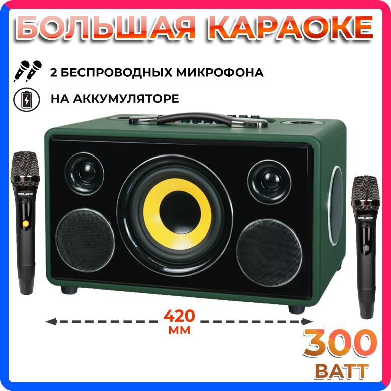 Купить по выгодной цене Караоке система NOIR-audio MAX-300 с двумя беспроводными микрофонами, с функцией Bluetooth и USB разъемом с доставкой