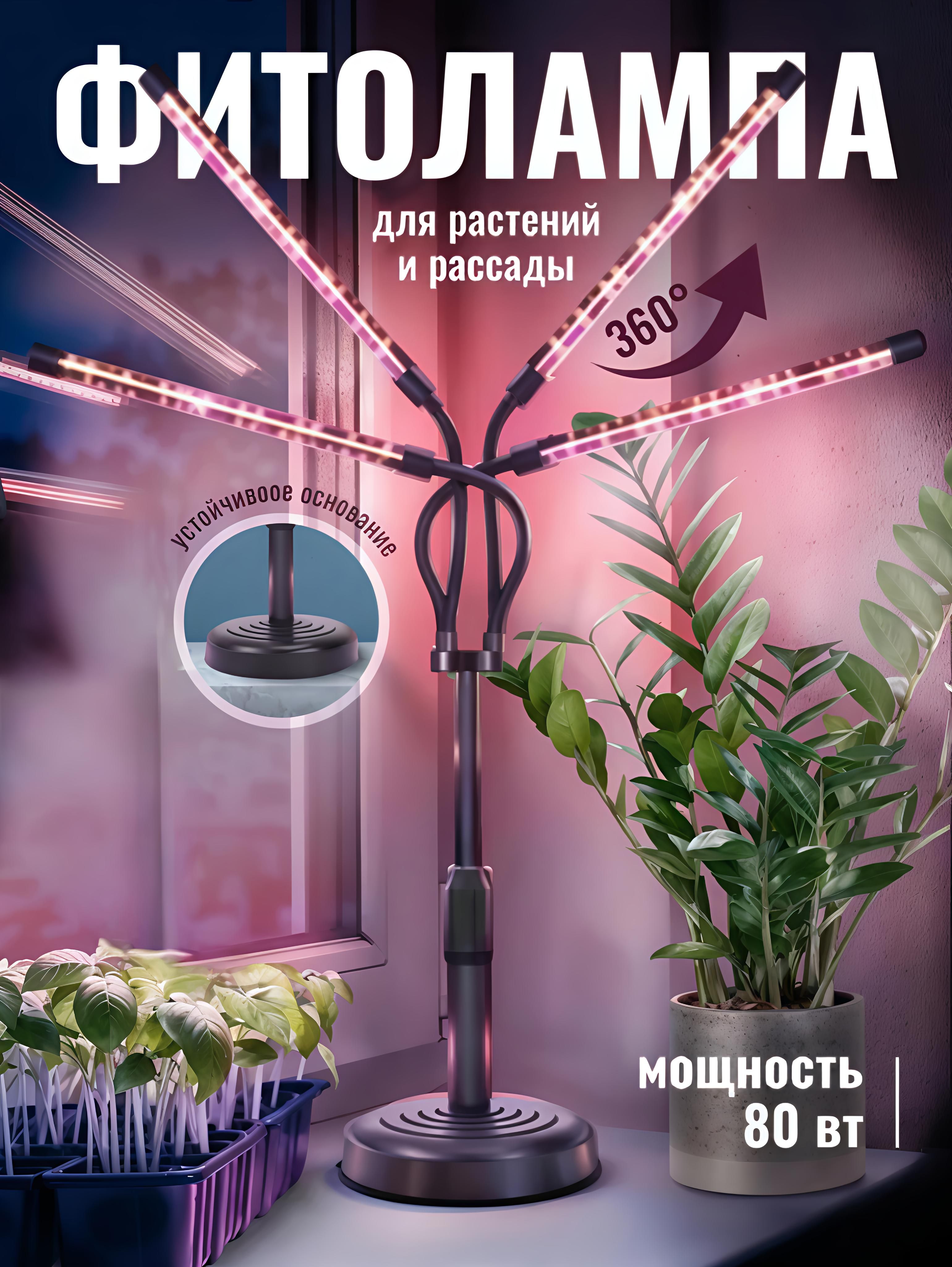 Фитолампадлярастений