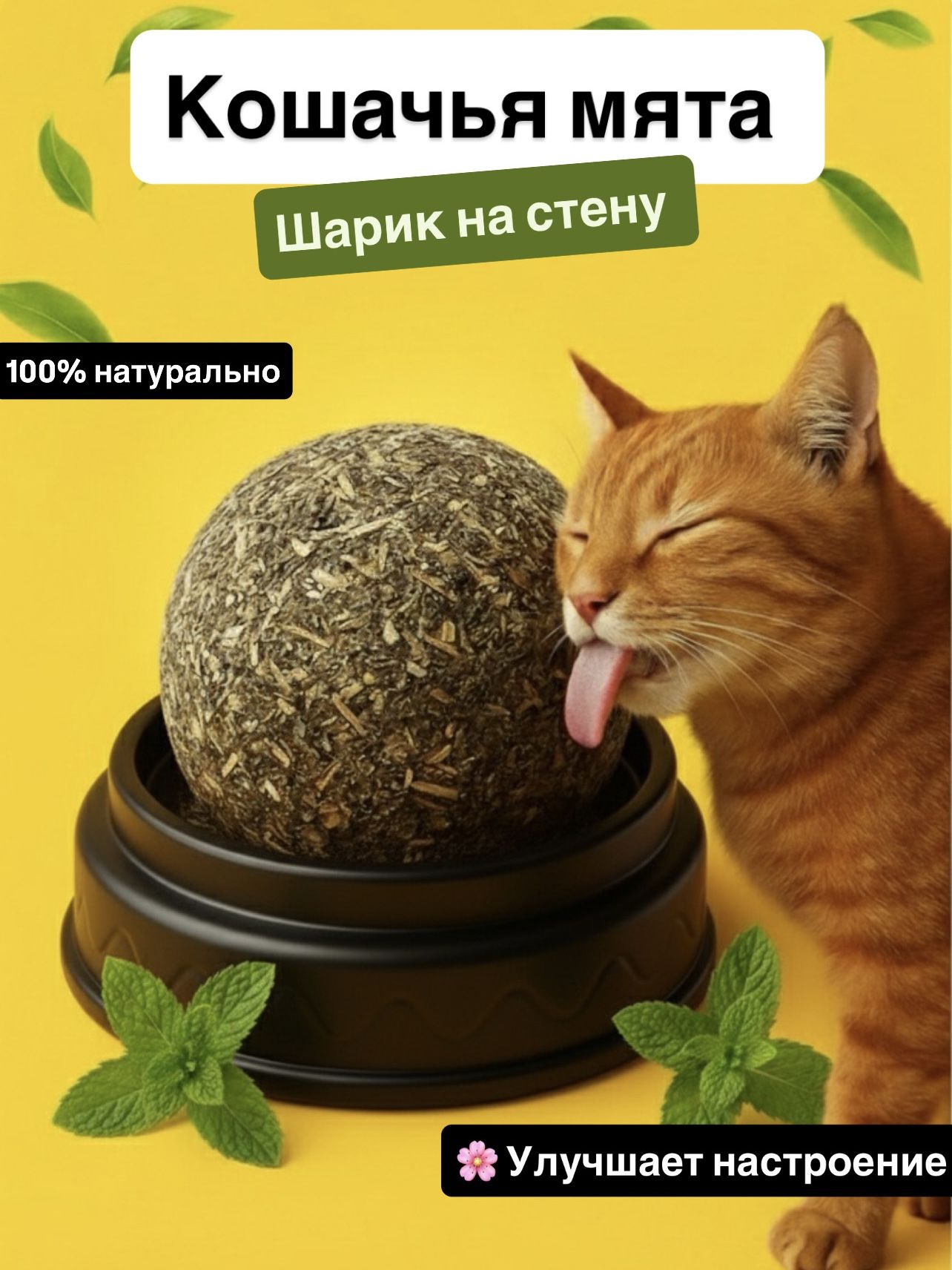 Кошачьямята/Конфета-шарскошачьеймятой,Лакомстводлякошек,Игрушкадлякотят,Леденецдлякотовсвитаминами