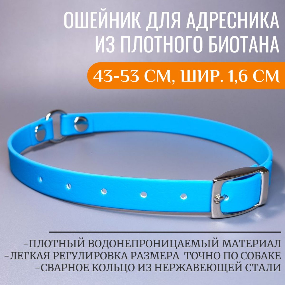 R-Dog ошейник для адресника из плотного биотана, цвет голубой, 43-53 см, ширина 1,6 см  #1