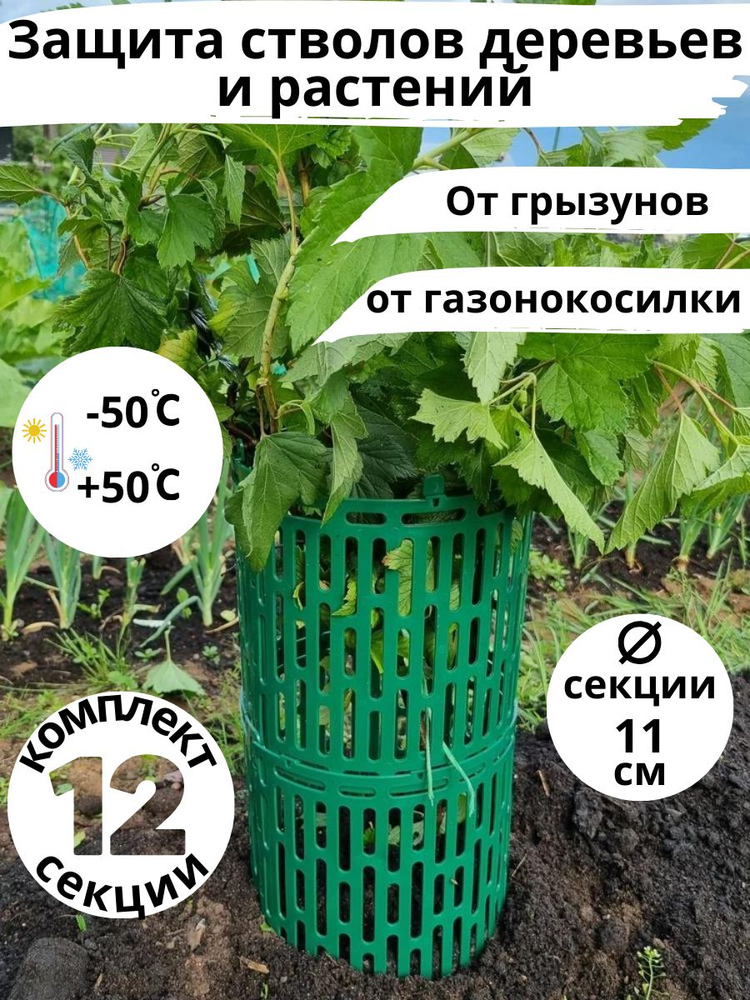 GardenPlast Бордюр садовый #1