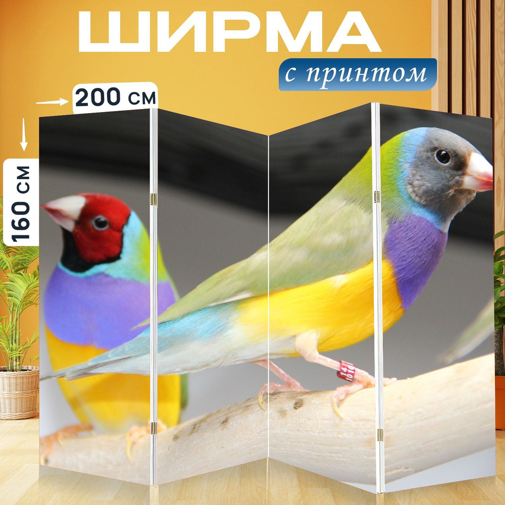 LotsPrints Ширма высота 160 см, ширина200 см. #1