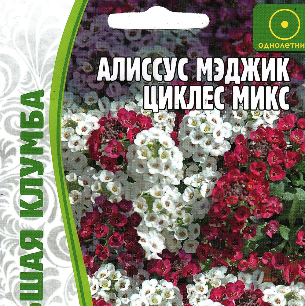 Алиссум МЭДЖИК ЦИКЛЕС МИКС ( 1 уп: 0,1 г ) #1