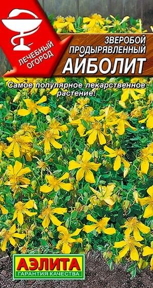 ЗВЕРОБОЙ АЙБОЛИТ. Семена. Вес 0,1 гр. Вся надземная часть растений обладает лекарственными свойствами. #1