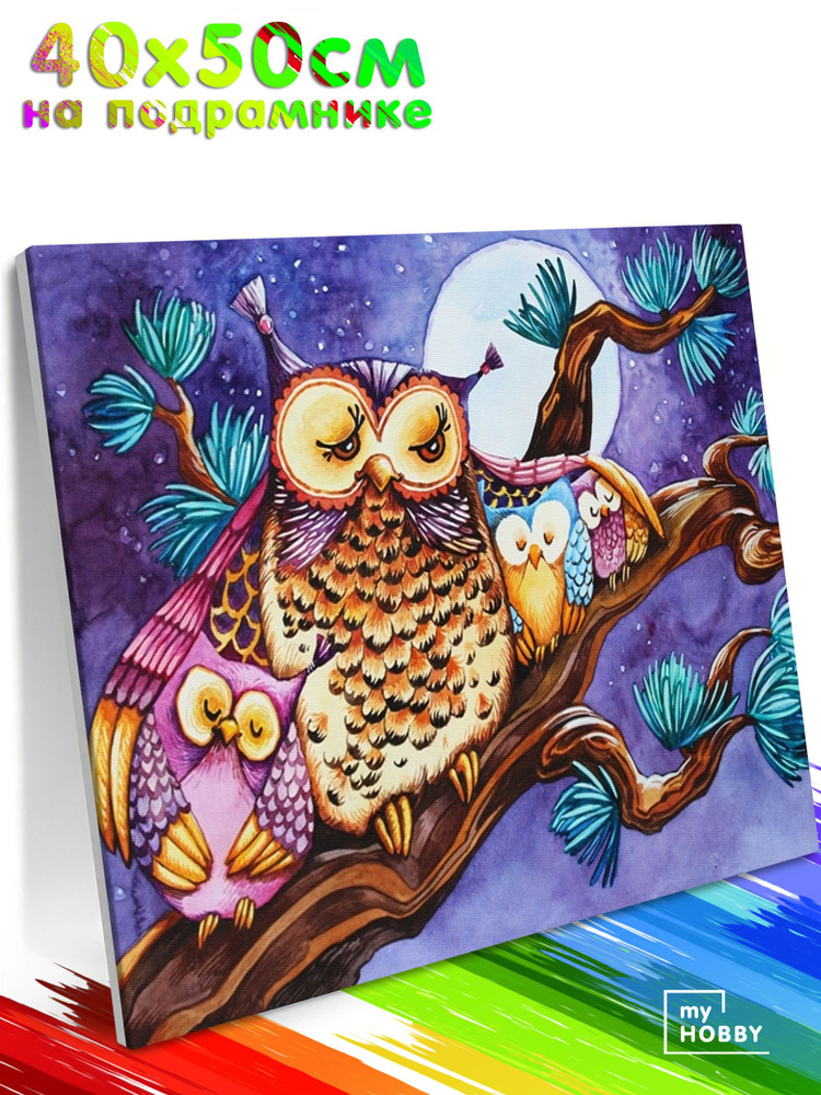 Картина по Номерам на Холсте 40х50 см Colibri Совы Птицы С Подрамником для Детей и Взрослых  #1
