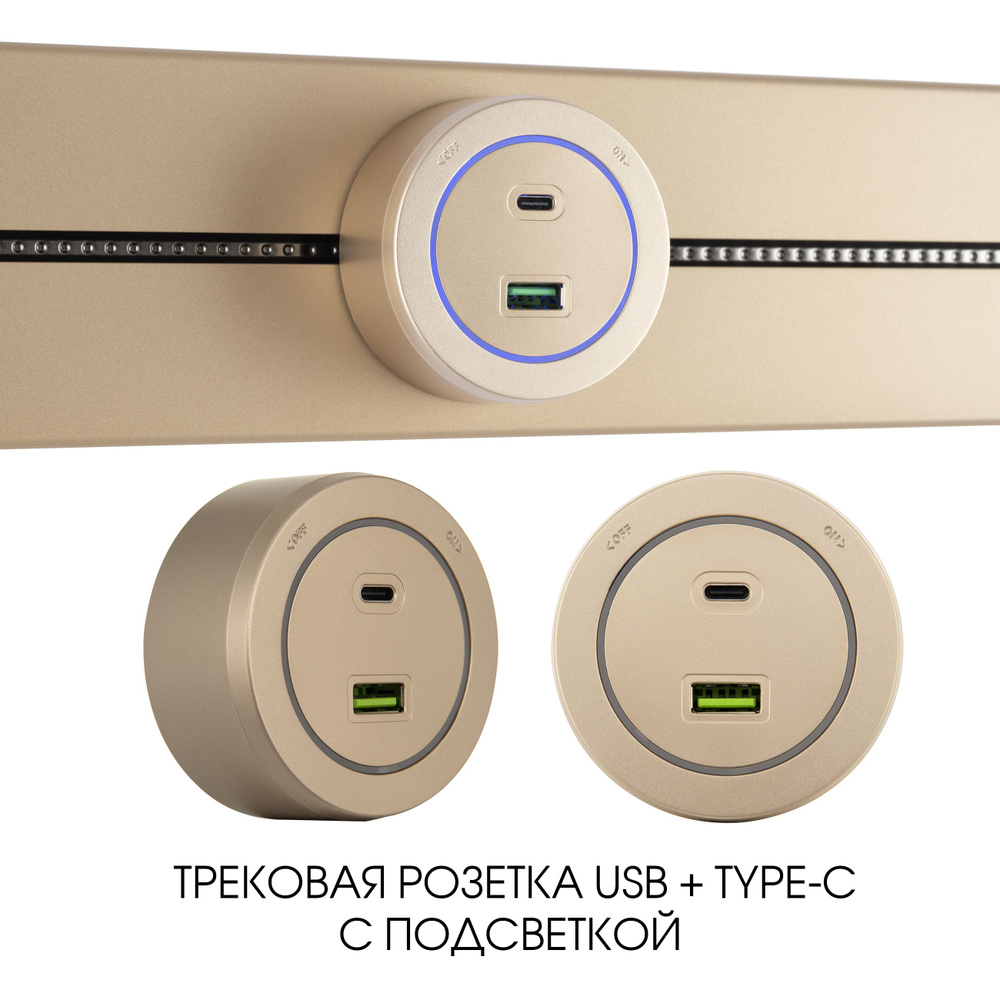 Трековая розетка, 3.1A 250V 399731TS/USB-Type-C Gold #1