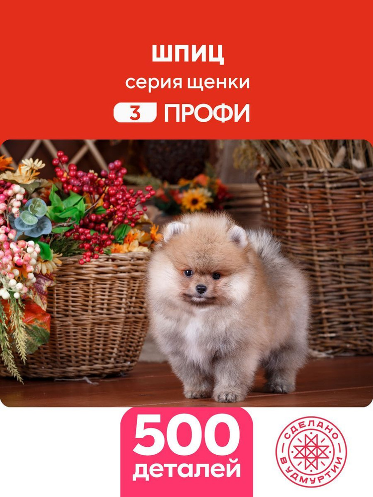 Пазл Шпиц 500 деталей Сложность Профи #1