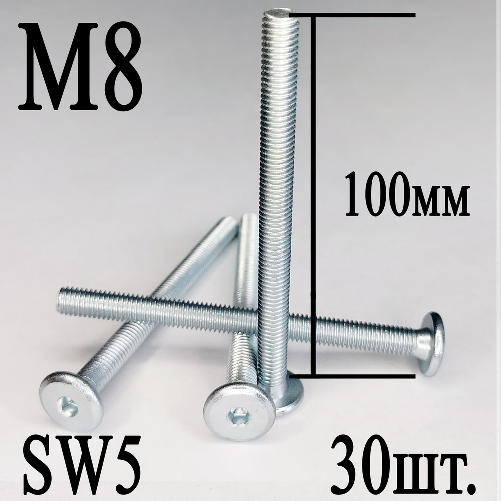 Винт мебельный М8 х 100 мм. SW5 (30шт.) #1