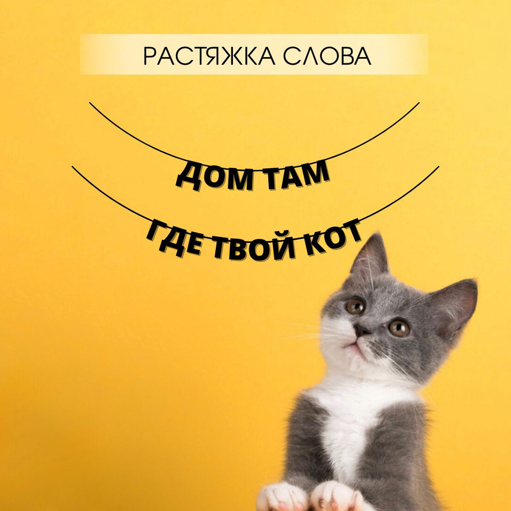 Растяжка из букв на стену "Дом там где твой кот" #1