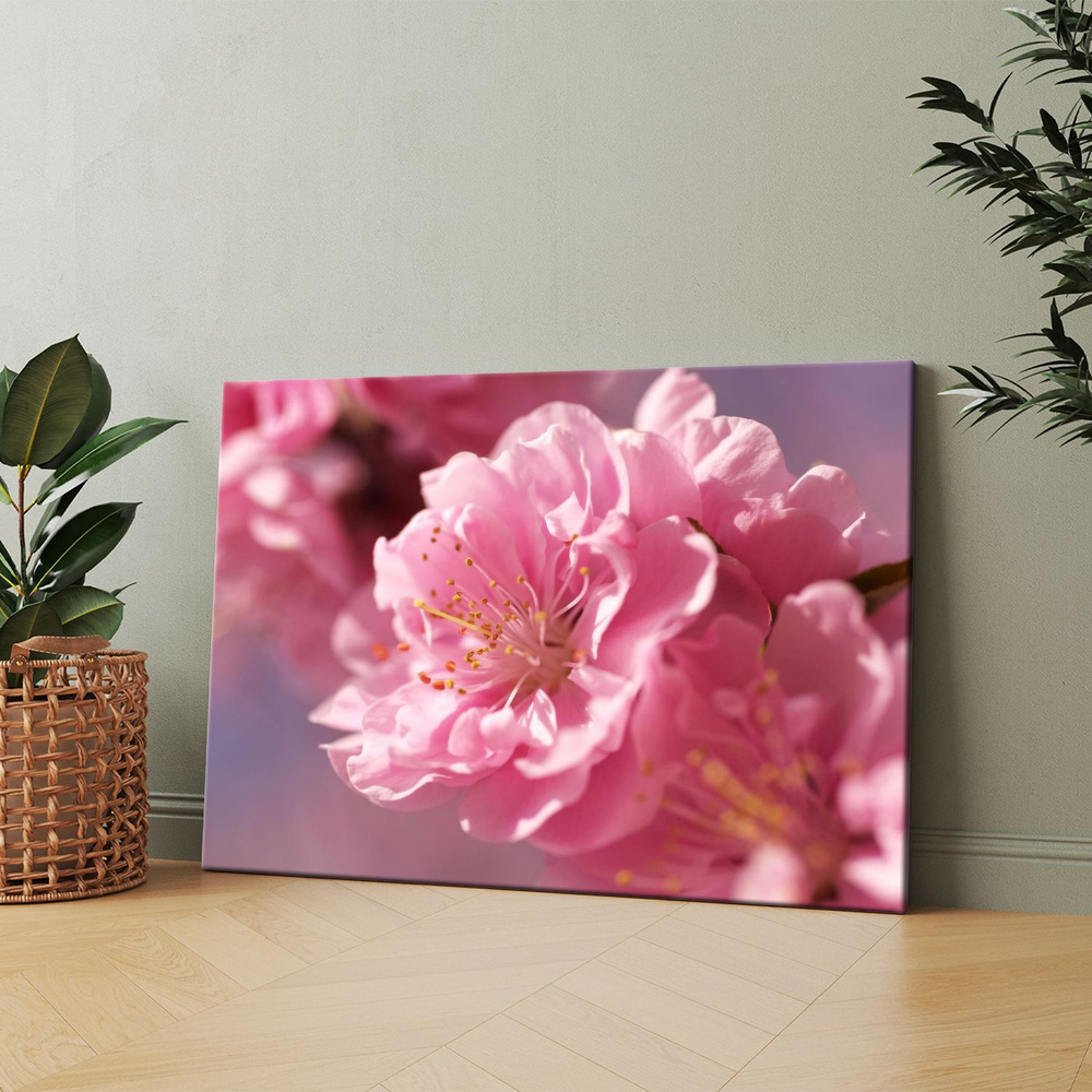 Картина на холсте (Розовые цветы вишни) 40x60 см. Интерьерная, на стену.  #1