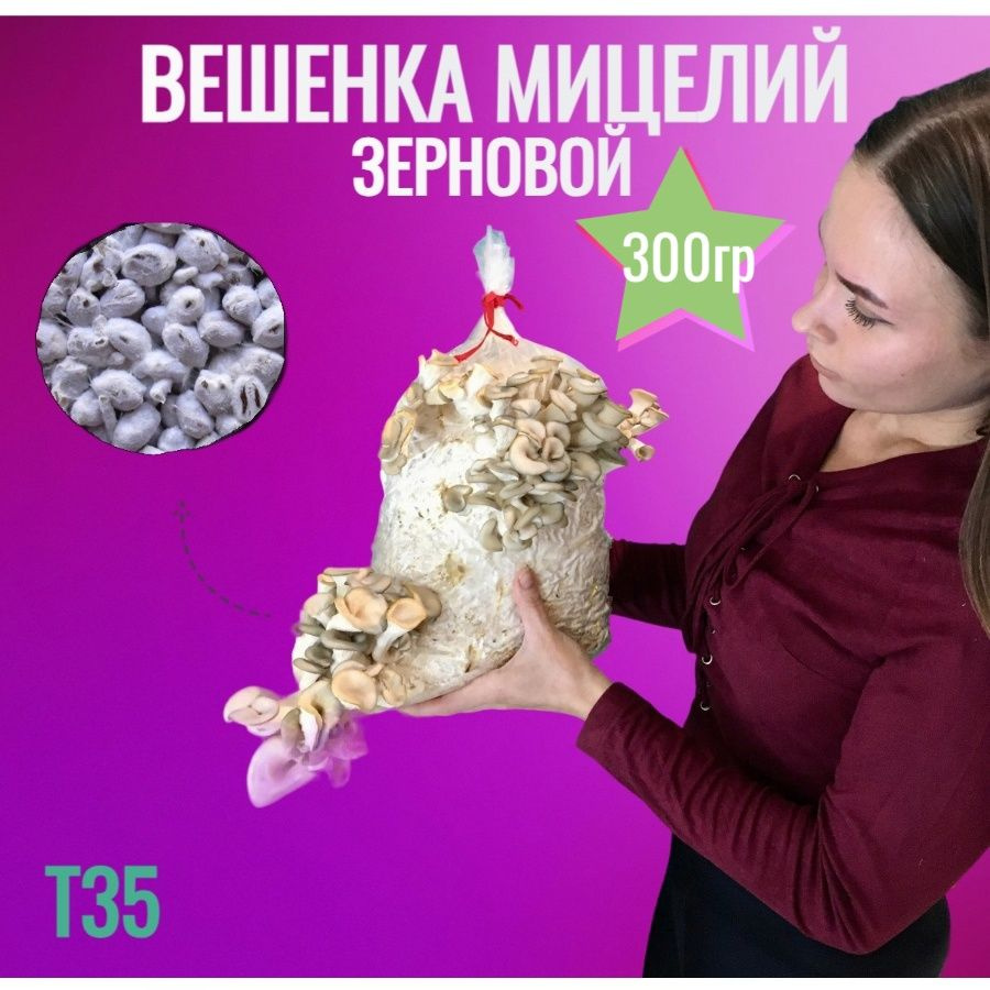 Мицелий вешенки зерновой (штамм т35) - 300 гр. #1